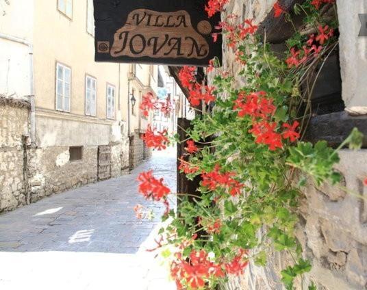 Villa Jovan Ohrida Exterior foto